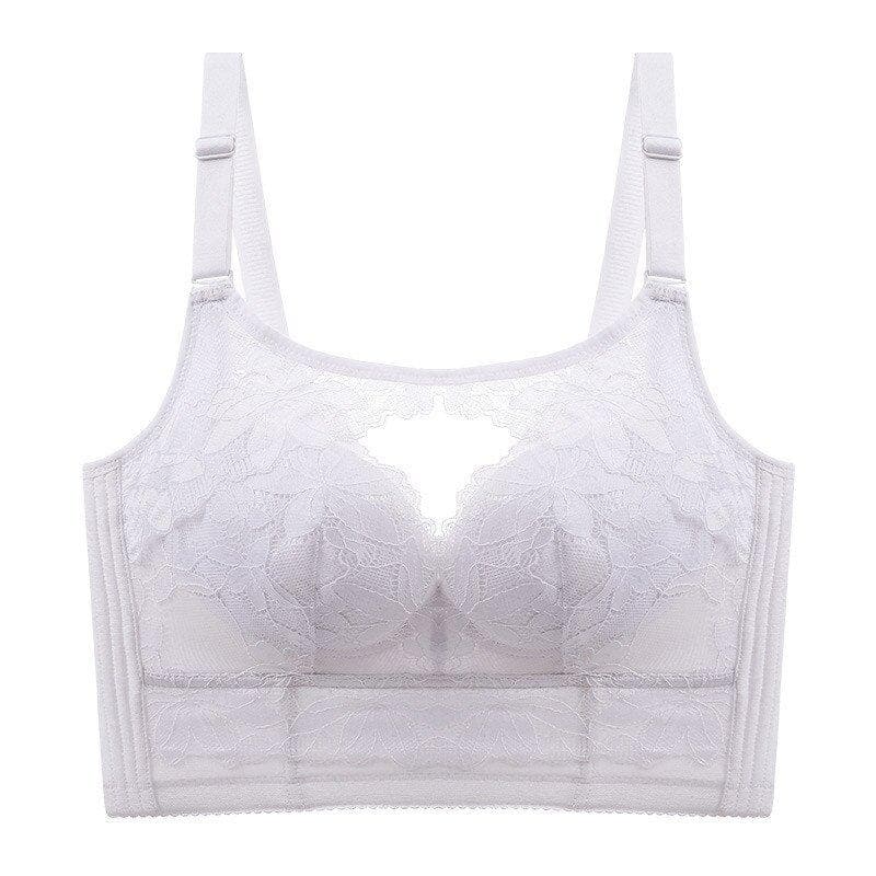 Full Cup Push Up Sexy Lace Gather Bra